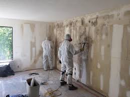 Best Biohazard Mold Removal  in Lazy Mountain, AK